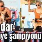 'Aladar' Türkiye şampiyonu oldu