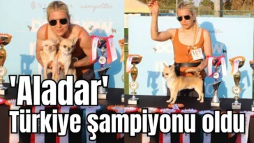'Aladar' Türkiye şampiyonu oldu