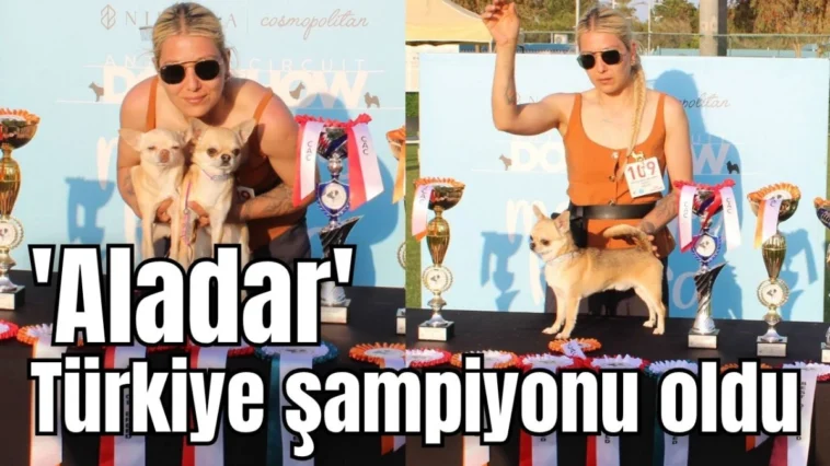 'Aladar' Türkiye şampiyonu oldu