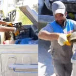 Alanya'da çöpe atılan kaplumbağa kurtarıldı