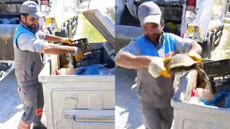 Alanya'da çöpe atılan kaplumbağa kurtarıldı