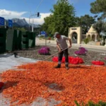 Antalya Kemer'de peyzaj ve çevre düzenlemesi çalışmaları sürüyor