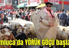 Antalya Kumluca'da Yörük Göçü başladı