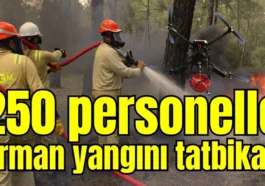 Antalya'da 250 personelle orman yangını tatbikatı