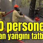 Antalya'da 250 personelle orman yangını tatbikatı
