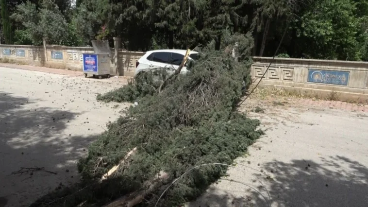 Antalya'da fırtınadan devrilen ağaç park halindeki araca zarar verdi