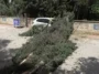Antalya'da fırtınadan devrilen ağaç park halindeki araca zarar verdi