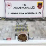 Antalya'da jandarmadan kaçakçılık operasyonu