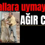 Antalya'da kurallara uymayana ağır ceza