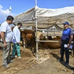 Antalya'da kurban kesim yerleri belli oldu
