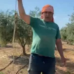 Antalya’da serada yılan alarmı