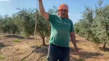 Antalya’da serada yılan alarmı