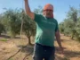 Antalya’da serada yılan alarmı