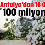 Antalya’dan 16 ülkeye 100 milyon dal