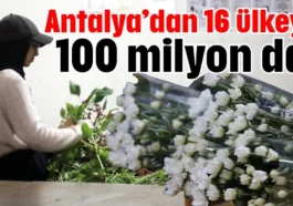 Antalya’dan 16 ülkeye 100 milyon dal