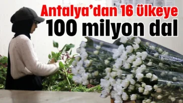 Antalya’dan 16 ülkeye 100 milyon dal