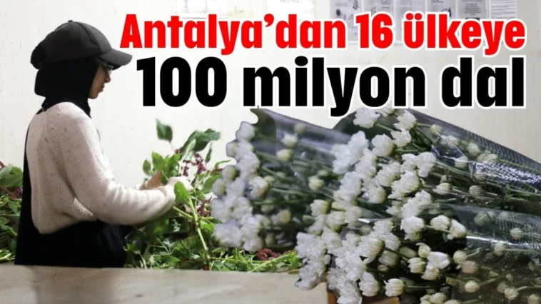 Antalya’dan 16 ülkeye 100 milyon dal