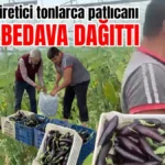 Antalyalı üretici tonlarca patlıcanı bedava dağıttı