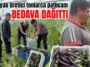 Antalyalı üretici tonlarca patlıcanı bedava dağıttı