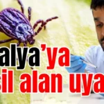 Antalya’ya yeşil alan uyarısı