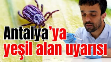 Antalya’ya yeşil alan uyarısı