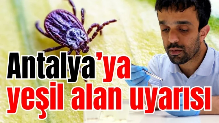 Antalya’ya yeşil alan uyarısı