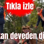 Başkan deveden düştü!