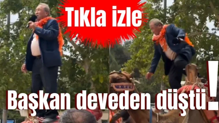 Başkan deveden düştü!
