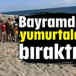 Bayramda ilk yumurtalarını bıraktılar