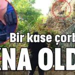Bir kase çorbaya ikna oldu