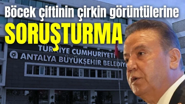 Böcek çiftinin çirkin görüntülerine soruşturma