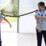 Büyükşehir izcileri kaynaşma kampında buluştu