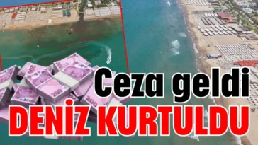 Ceza geldi deniz kurtuldu