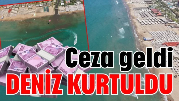 Ceza geldi deniz kurtuldu