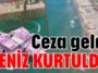 Ceza geldi deniz kurtuldu