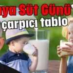 ‘Dünya Süt Günü’nde çarpıcı tablo