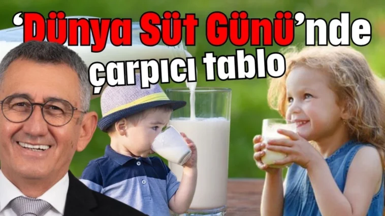 ‘Dünya Süt Günü’nde çarpıcı tablo