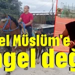 Engel Müslüm'e engel değil!
