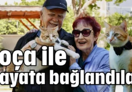 Foça ile hayata bağlantılar