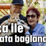 Foça ile hayata bağlantılar