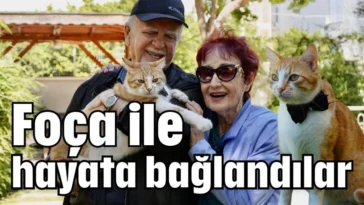Foça ile hayata bağlantılar