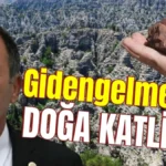 Gidengelmez'de doğa katliamı