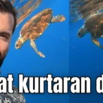 Hayat kurtaran dalış