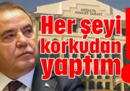 Her şeyi korkudan yaptım!