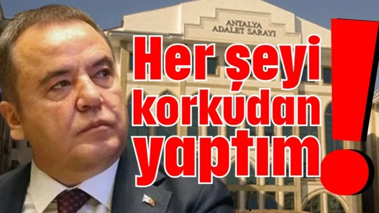 Her şeyi korkudan yaptım!
