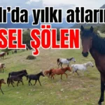 İbradı’da yılkı atlarından görsel şölen