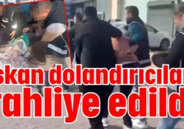 İskan dolandırıcıları tahliye edildi