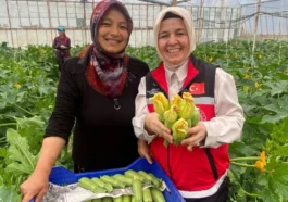 Kadın çiftçi hem üretiyor hem ihraç ediyor hem de pazarda satıyor