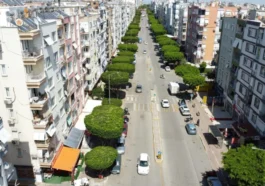 Kepez'de belediye kentin yeşil dokusunu koruyor ve geliştiriyor