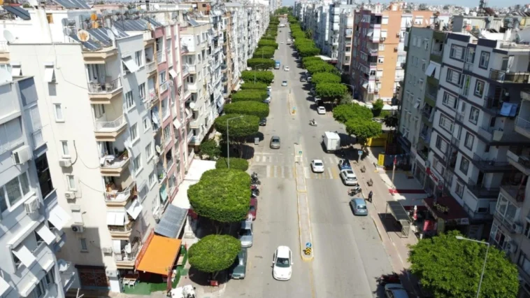 Kepez'de belediye kentin yeşil dokusunu koruyor ve geliştiriyor